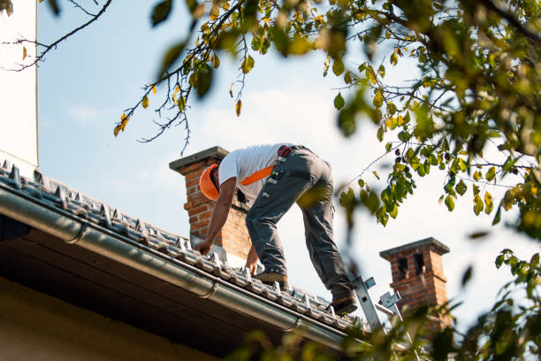 Best Commercial Roofing Services  in East Chicago, IN